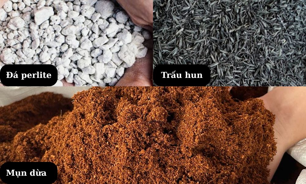 Trộn mụn dừa, tro trấu, đá perlite để tạo đất trồng hoa cẩm tú cầu tơi xốp, thoát nước tốt