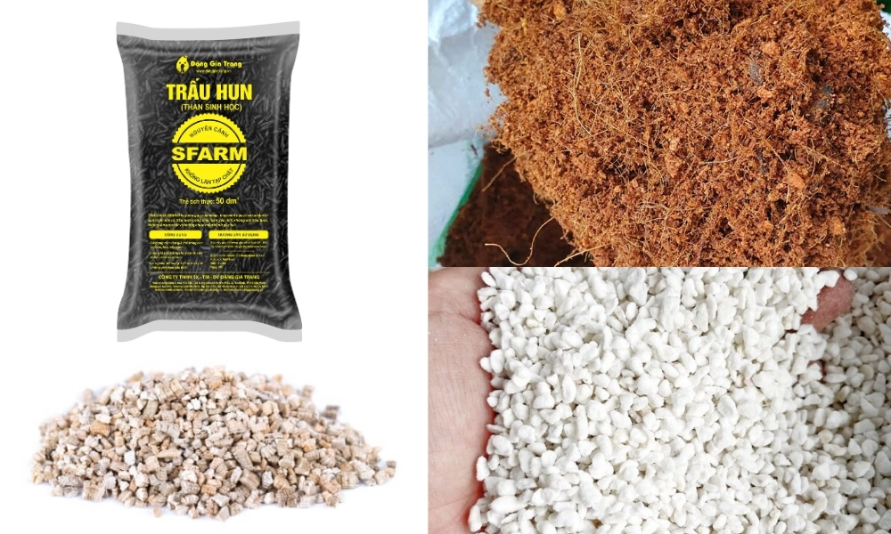 Phối trộn cùng xơ dừa, trấu hun, đá perlite hoặc vermiculite giúp tơi xốp, thoáng khí