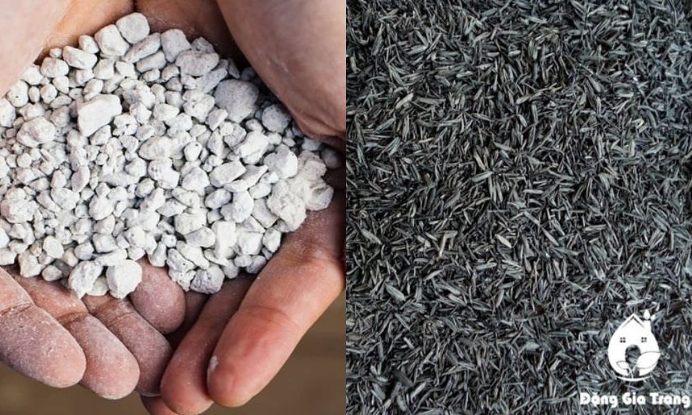 Các giá thể như đá perlite BA,tro trấu,..là lựa chọn tuyệt vời cho đất trồng hoa sứ