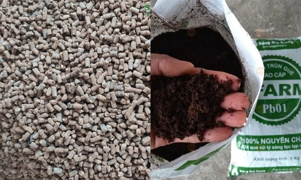 Phân gà ủ vi sinh kết hợp phân trùn quế SFARM giúp đất giàu dinh dưỡng