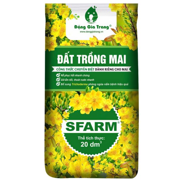 dat trong mai mat truoc 600x600 1
