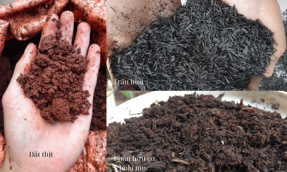 Tỷ lệ phối trộn đất trồng tỷ lệ 1:1:1