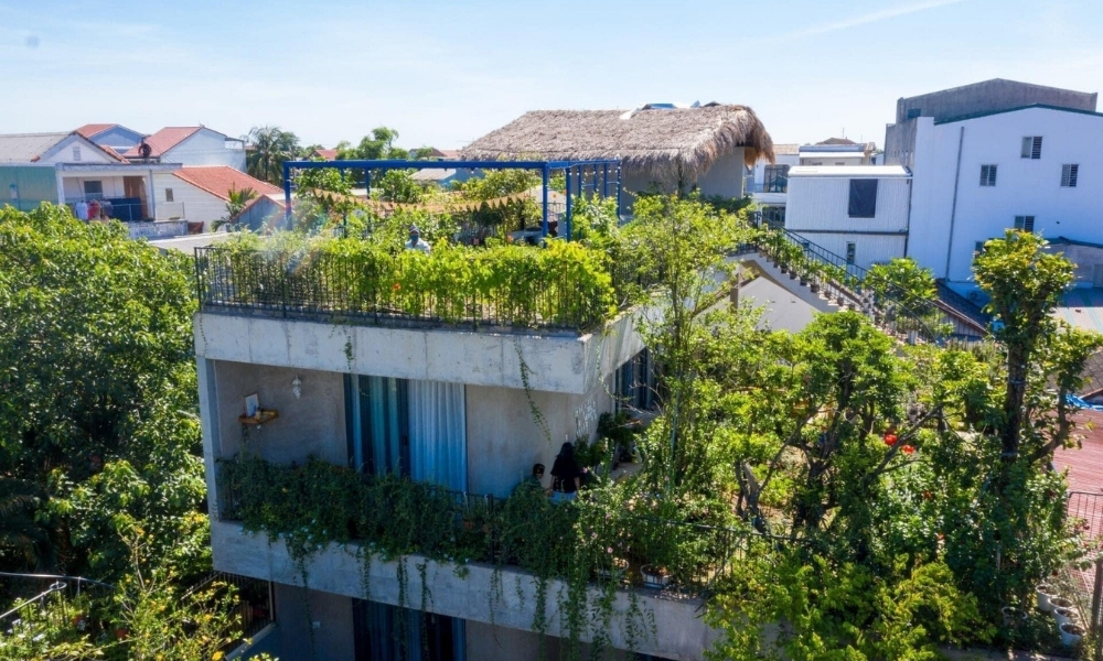Đổ đất trồng cây trên sân thượng