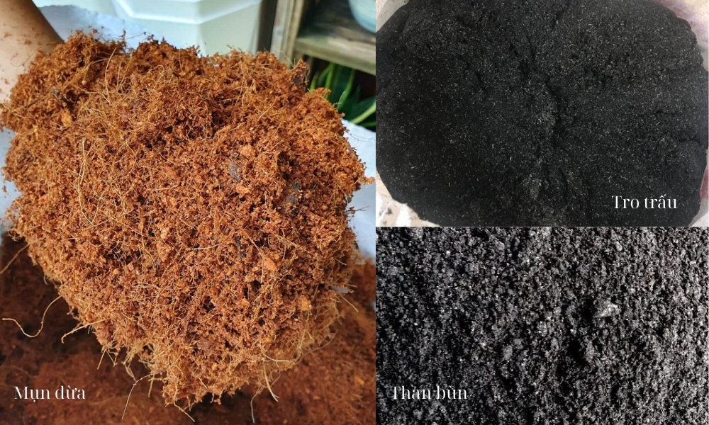 Mụn dừa, than bùn, tro trấu