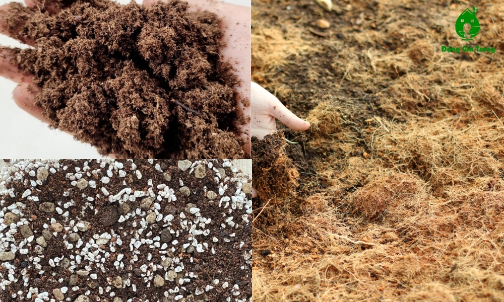50%  dừa, 30% rêu than bùn, 20% Giá thể trồng kiểng lá SFARM