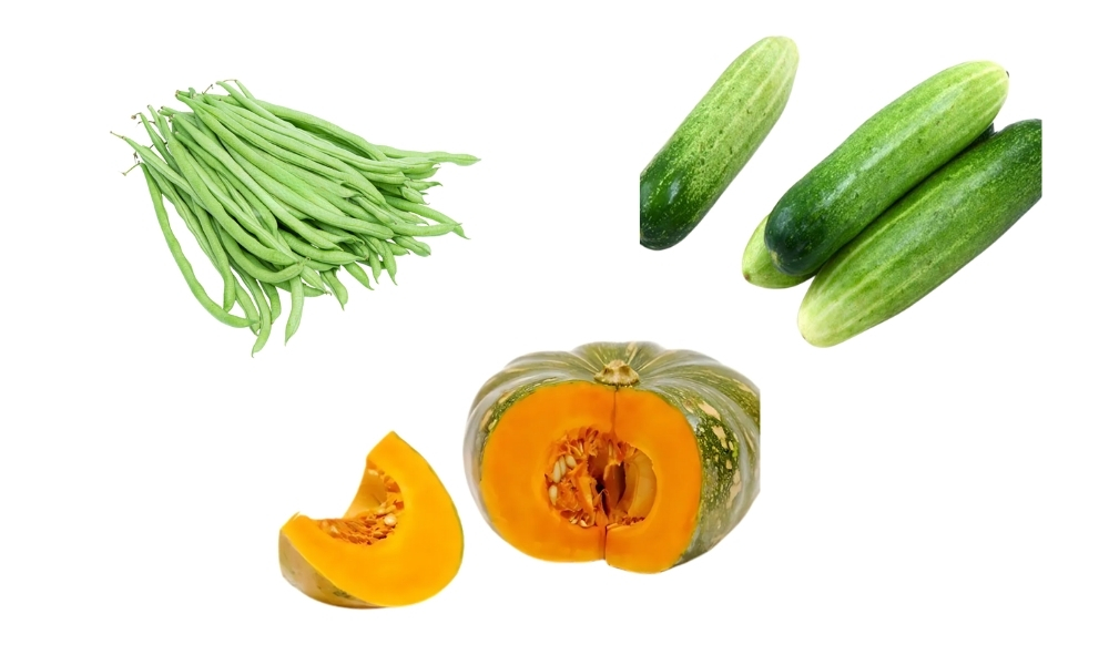 Trồng các loại đậu và rau ăn quả