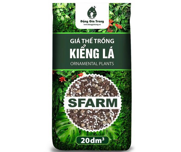 mua gia the trong cay so luong lon 6