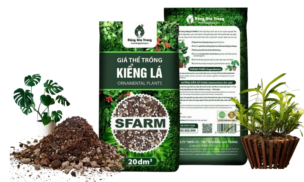 Giới thiệu giá thể SFARM