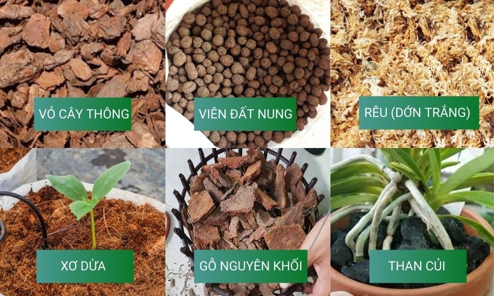 Những loại giá thể trồng lan thường dùng