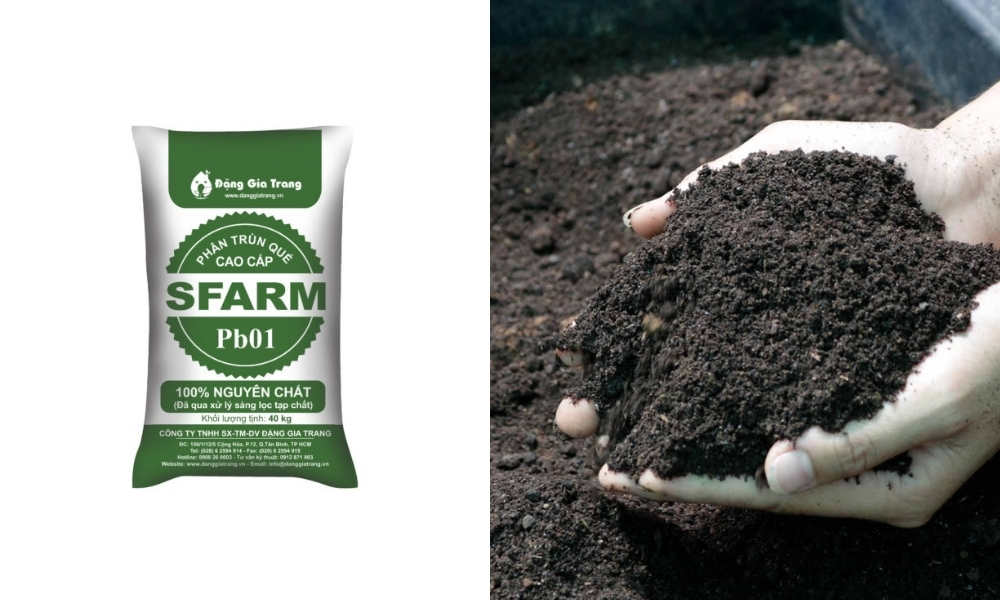 Chuẩn bị đất trồng và phân trùn quế SFARM