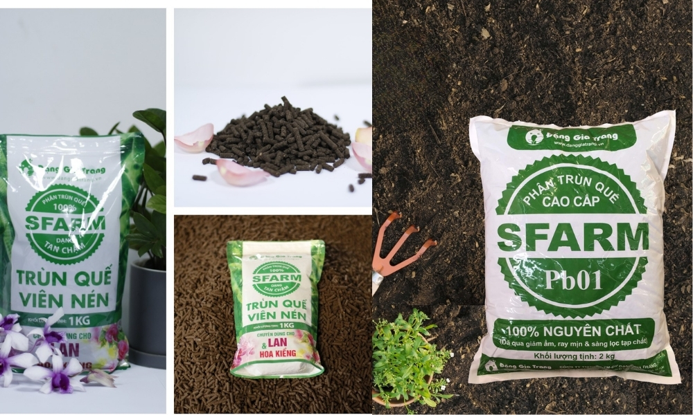 Các loại phân trùn quế thường gặp