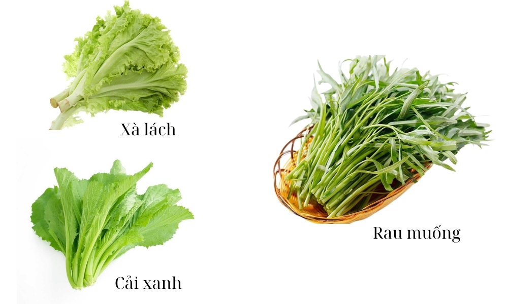 Rau mùa thu miền Bắc: Cải, rau muống, xà lách