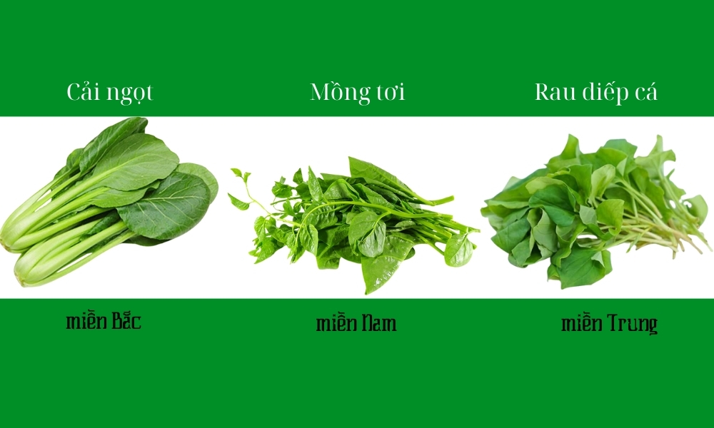 Mùa thu trồng rau gì