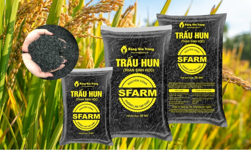 Mua trấu hun số lượng lớn ở đâu?