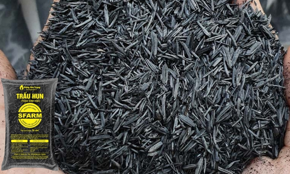 Giới thiệu trấu hun SFARM
