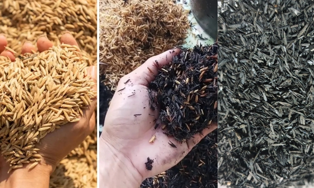 So sánh trấu hun với các loại vật liệu khác