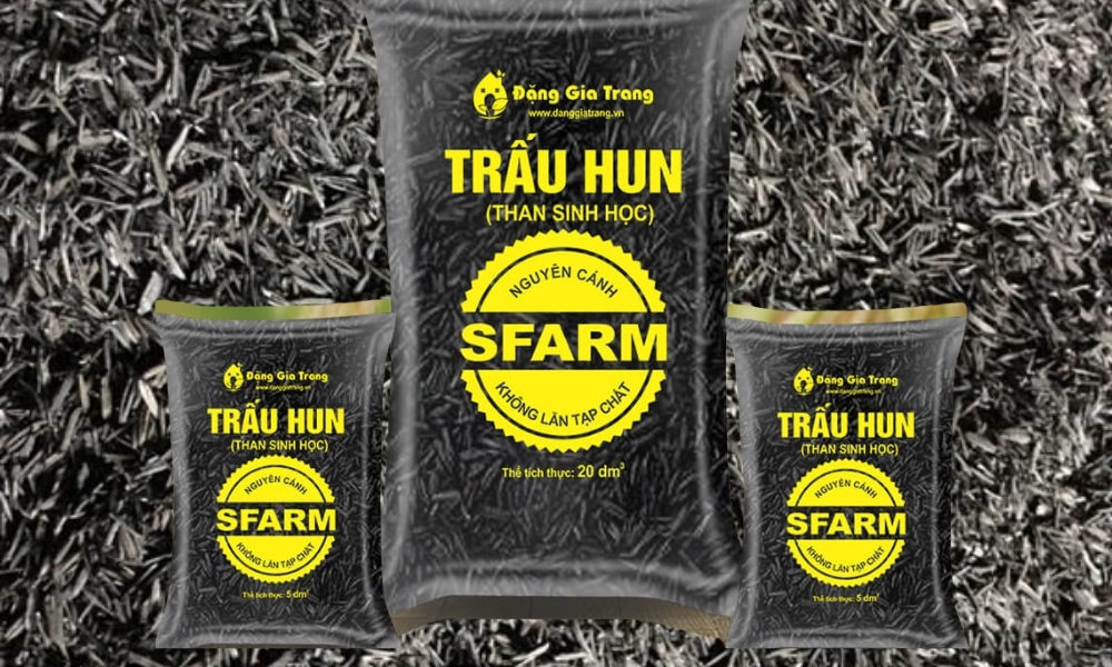 Mua trấu hun số lượng lớn ở đâu uy tín?