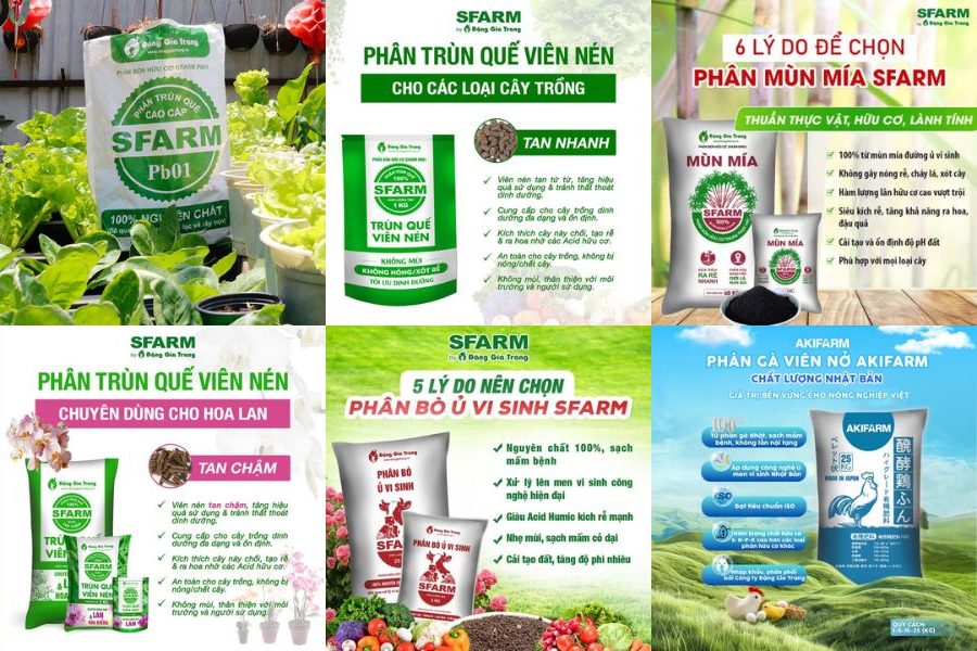 npk huu co vi sinh 6 e1758204616475