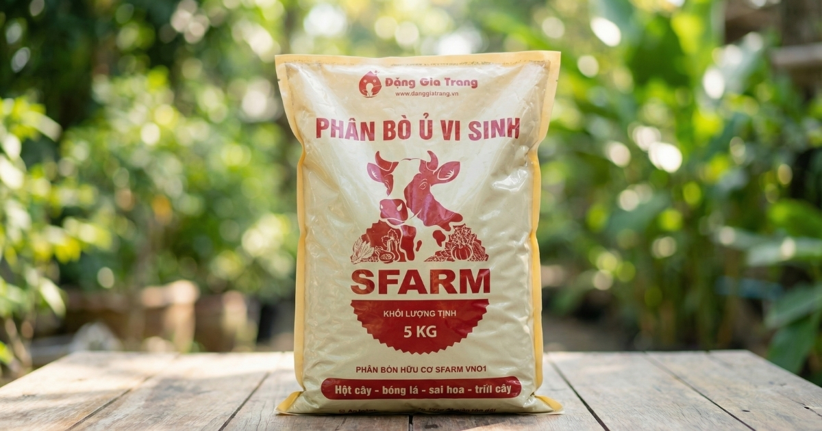 Bảo quản trong bao giúp đảm bảo chất lượng cho phân bò Bảo quản trong bao giúp đảm bảo chất lượng cho phân bò