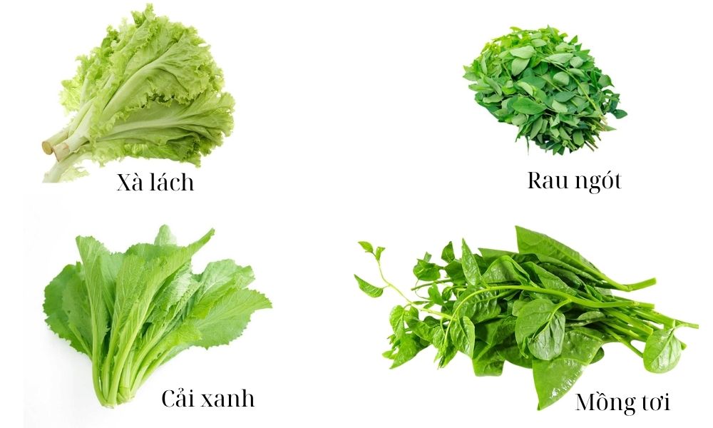 Miền Nam: Xà lách, rau ngót, mồng tơi, cải xanh