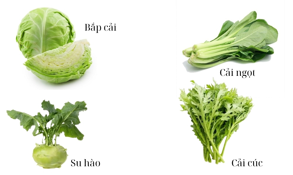 Miền Bắc: Cải ngọt, su hào, bắp cải, cải cúc
