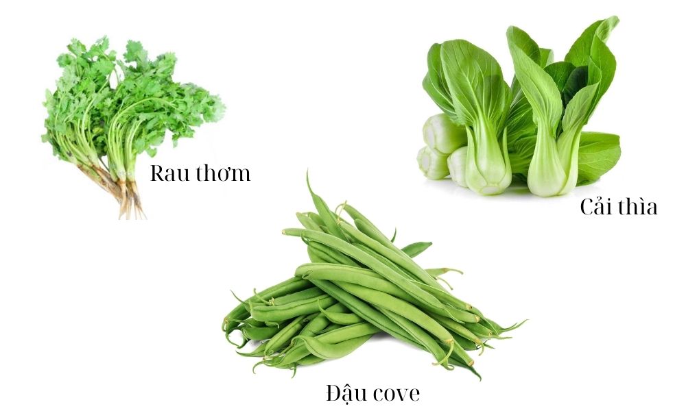 Miền Trung: Rau gia vị, cải thìa, đậu cô ve