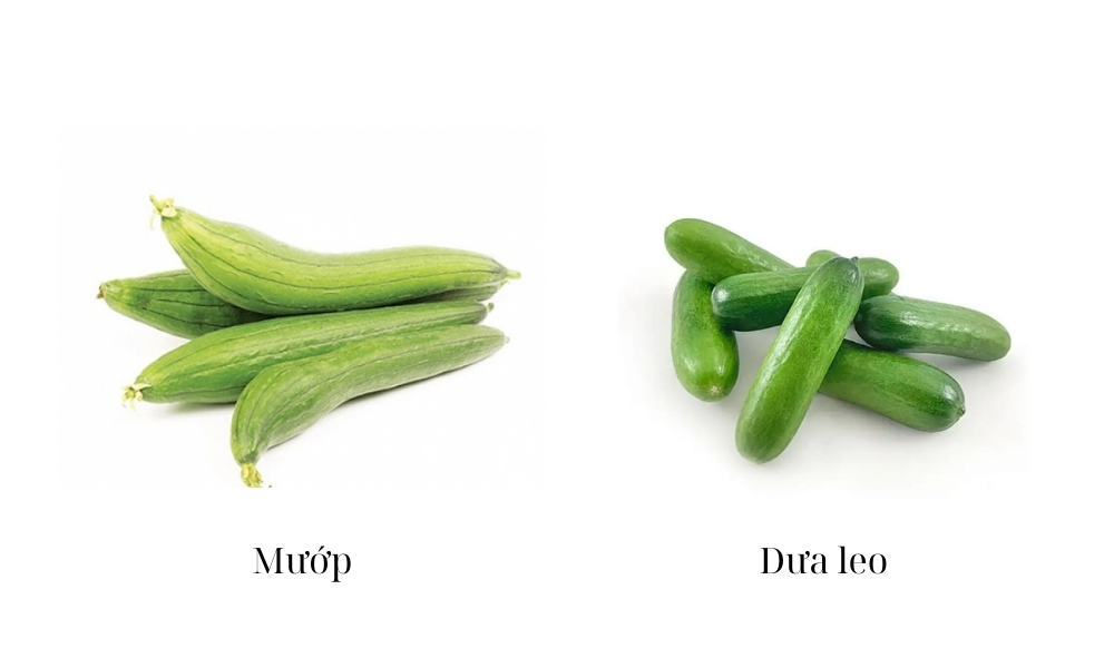 Ở miền Bắc, tránh trồng các loại rau ưa nóng như mướp, dưa leo