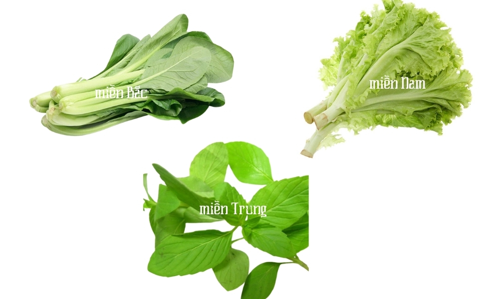 Tháng 11 nên trồng rau gì