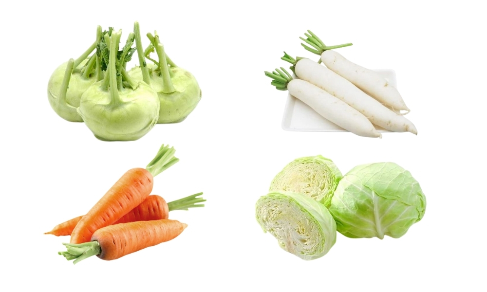 Trồng các loại rau củ