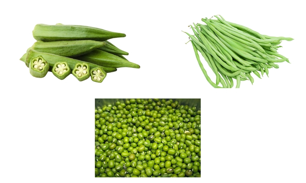 Các loại đậu, họ đậu phù hợp trồng tháng 7