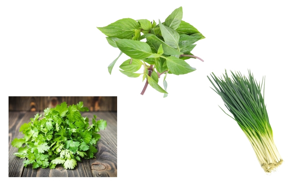 Các loại rau gia vị phù hợp trồng tháng 7