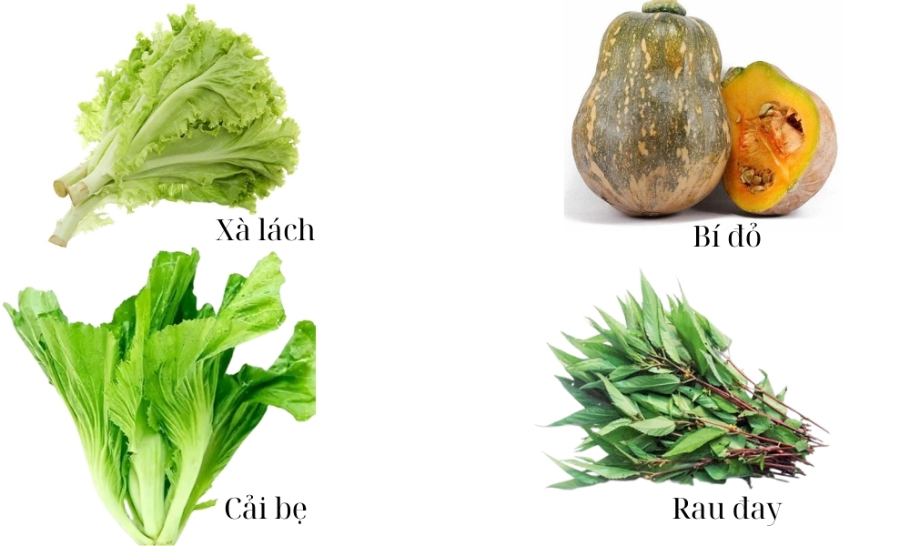 Miền Nam: Xà lách, bí đỏ, cải bẹ, rau đay