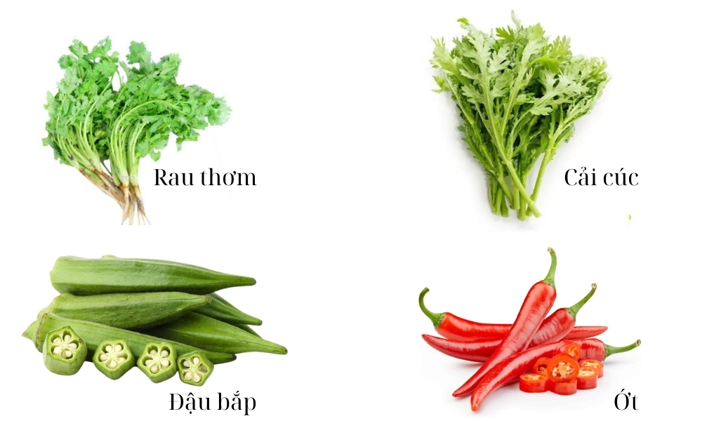Miền Trung: Rau thơm, cải cúc, đậu bắp, ớt