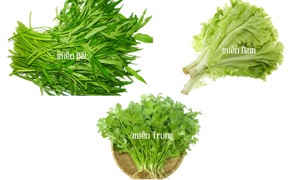 Tháng 7 trồng cây rau gì