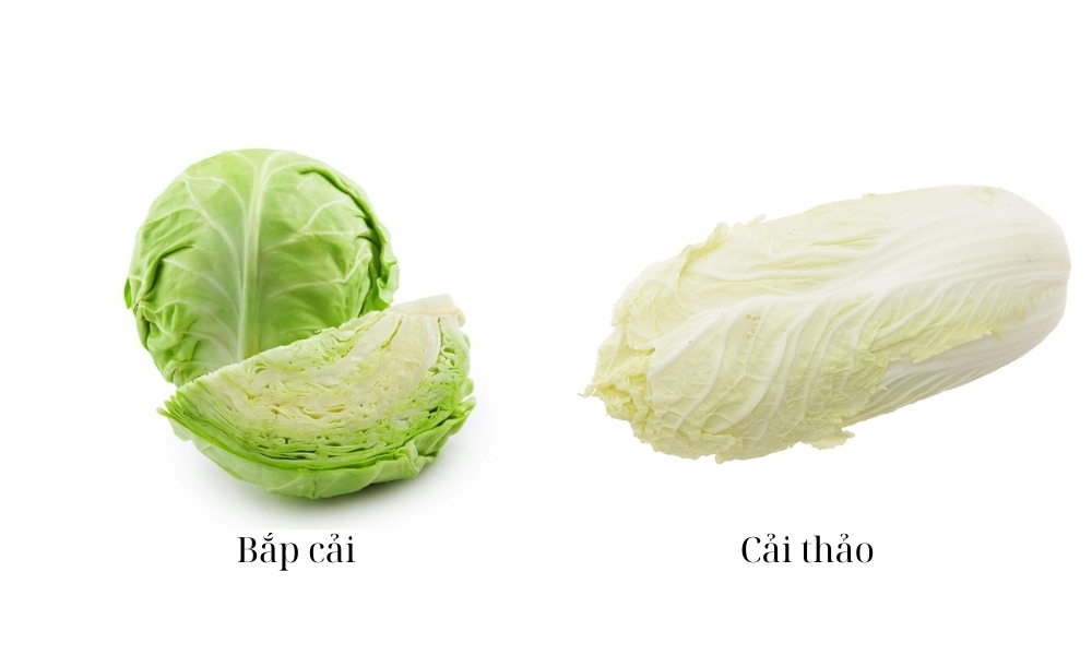 Tránh trồng rau ưa mát như bắp cải, cải thảo ở nơi nắng gắt