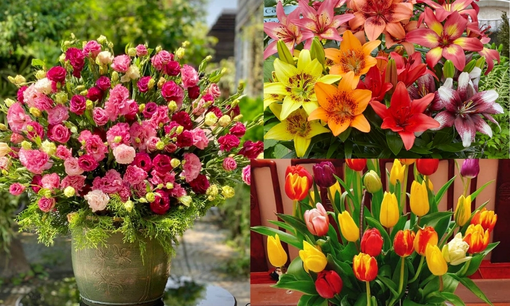 Một số loài hoa phổ biến nên trồng tháng 9