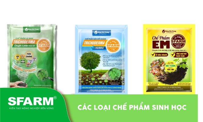 Các loại chế phẩm sinh học