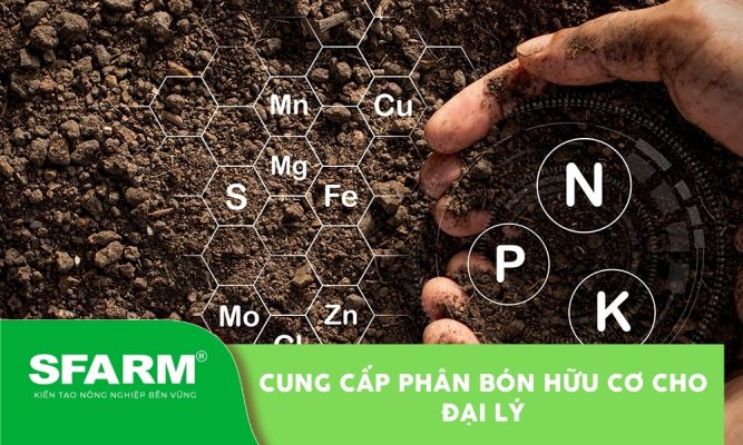 Cung cấp phân bón hữu cơ cho đại lý