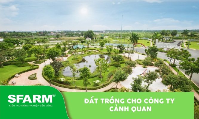 Đất trồng cho công ty cảnh quan
