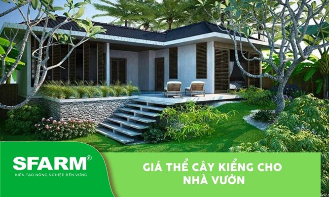 Giá thể cây kiểng cho nhà vườn