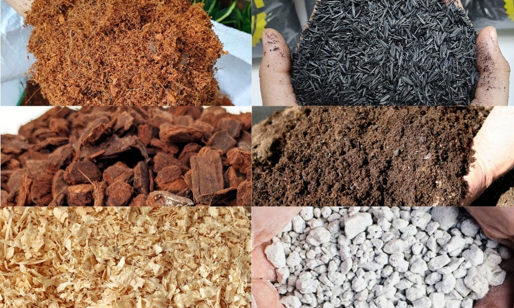 Các loại giá thể trồng sứ phổ biến
