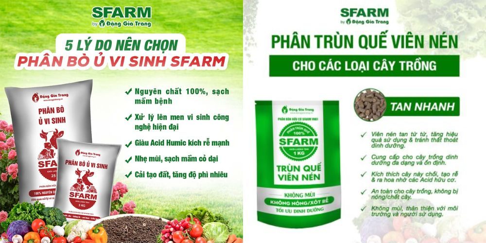 trong rau gi nhanh thu hoach nhat 18 e1758806395389