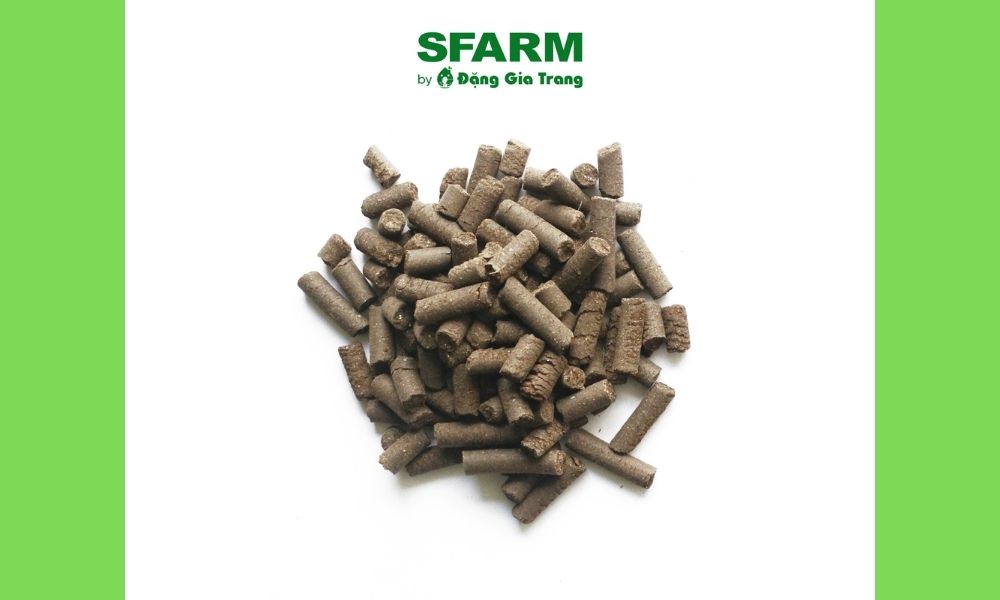 Dùng phân trùn quế SFARM bổ sung dinh dưỡng cho rau vào mùa mưa