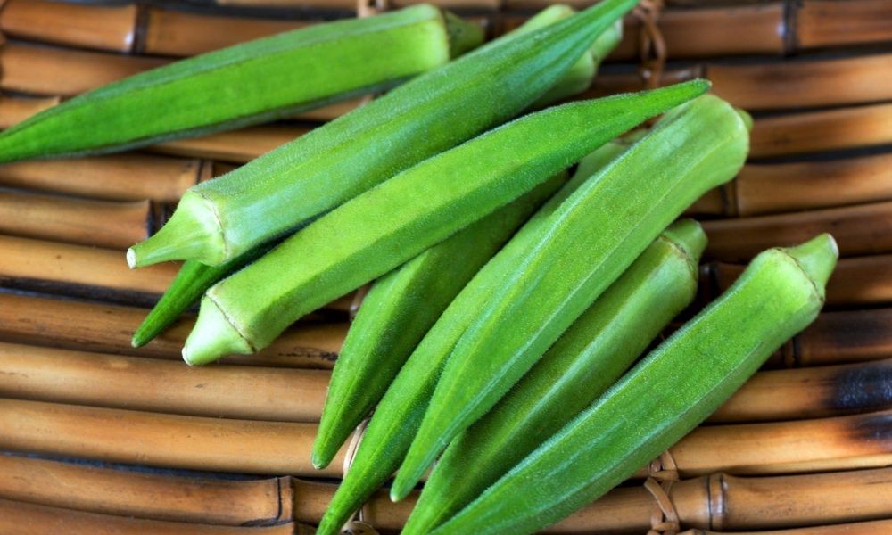 Đậu bắp: Dễ trồng, thu hoạch liên tục mùa mưa