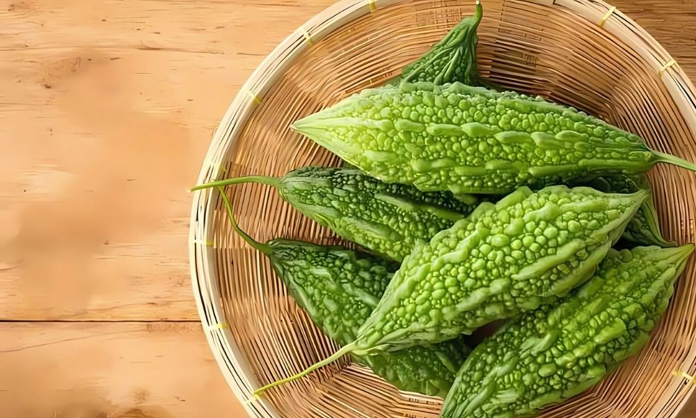 Mướp đắng: Leo giàn, năng suất cao mùa mưa