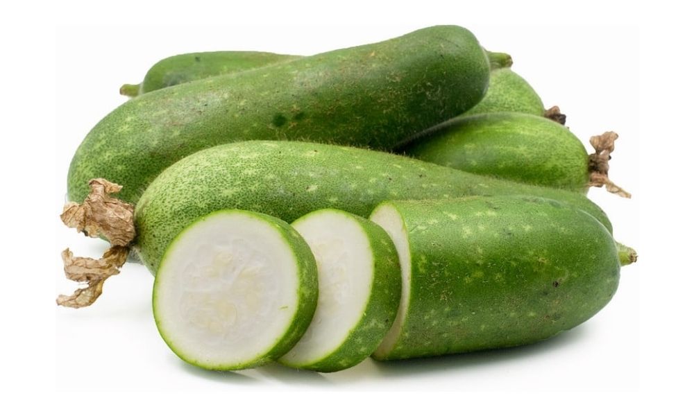 Bí đao: Chịu nước, quả lớn mùa mưa