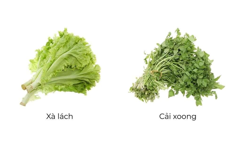 Tránh giống yếu: Xà lách, cải xoong mùa mưa