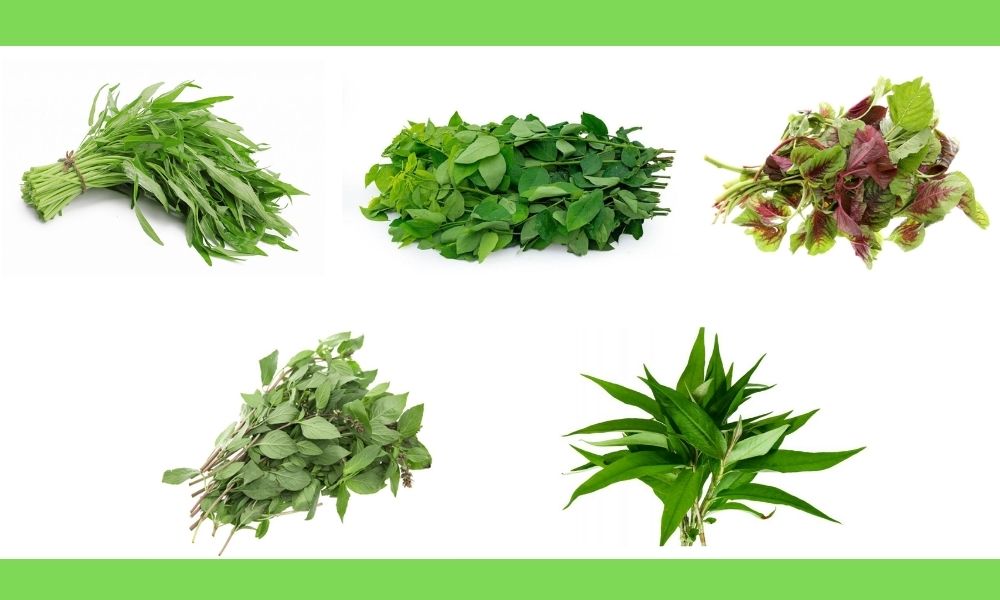 Trồng rau gì vào mùa mưa