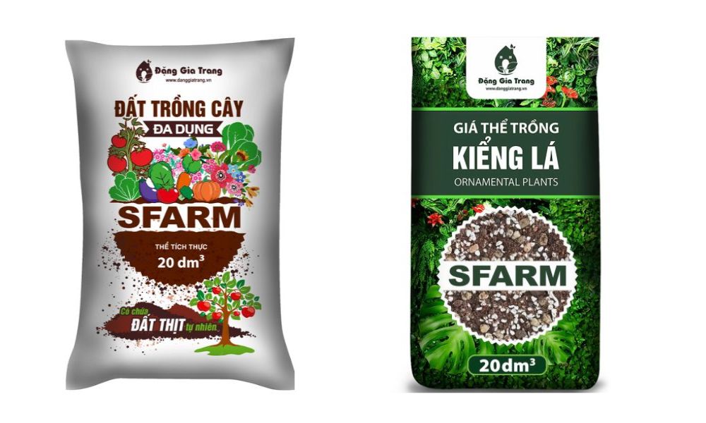 tuoi quy hoi hop trong cay gi 15