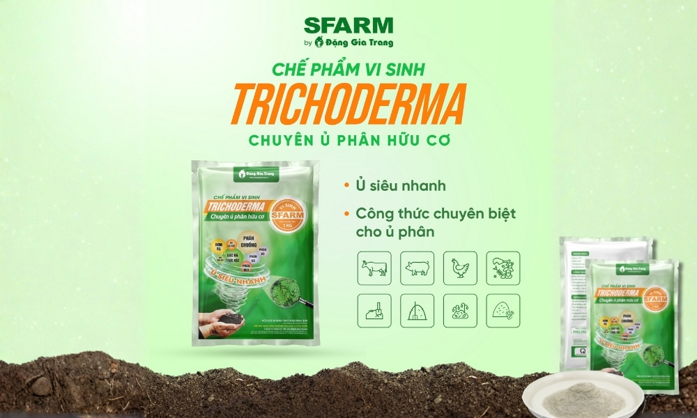 Trichoderma giúp ủ phân hiệu quả